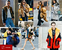 Your Fur and Faux Fur Guide For This Fall
