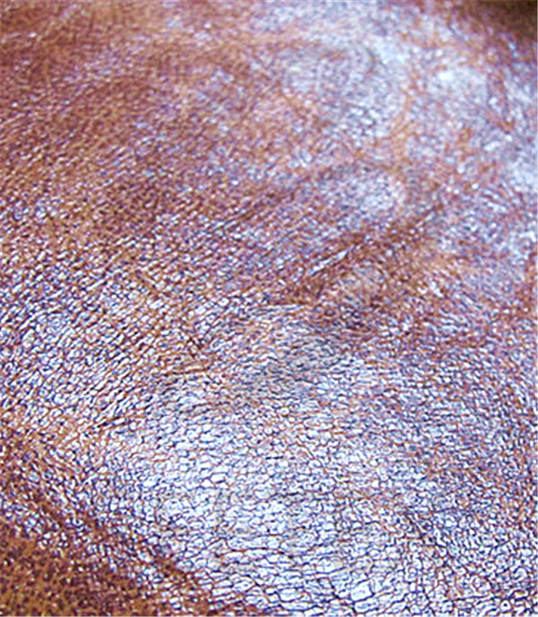 Brown Pu Leather Bonded