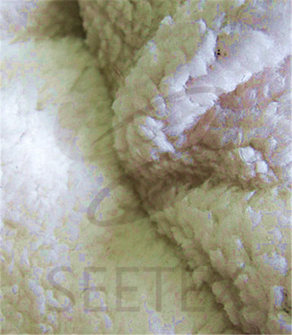 Fleece Bonded Sherpa Fabric