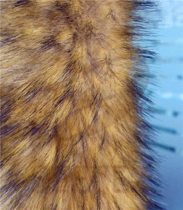 Luxury Raccoon Fur