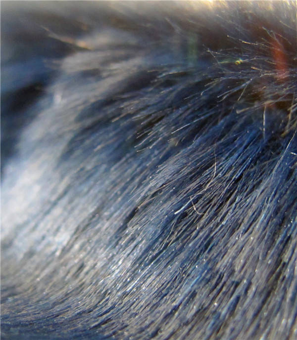 Steel Blue Cut Mink